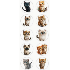 Cat / Kitten Stickers - Sold Assorted 